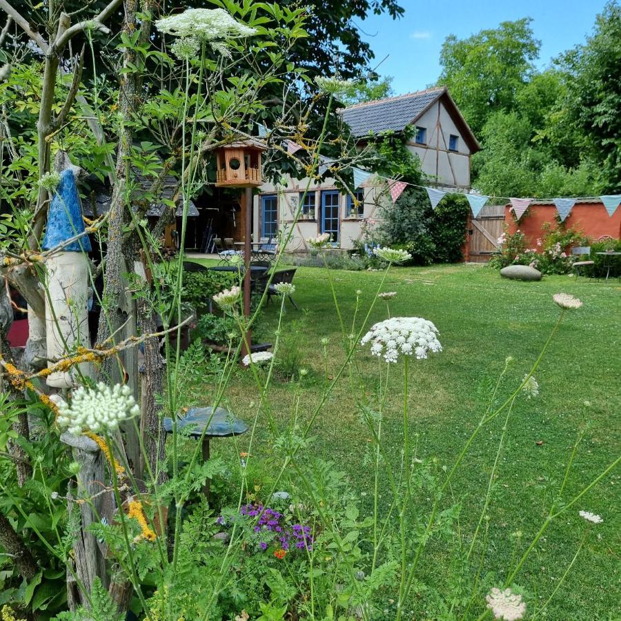 Ankommen, Wohlfuehlen Und Die Natur Geniessen Lichtenhain  Eksteriør billede
